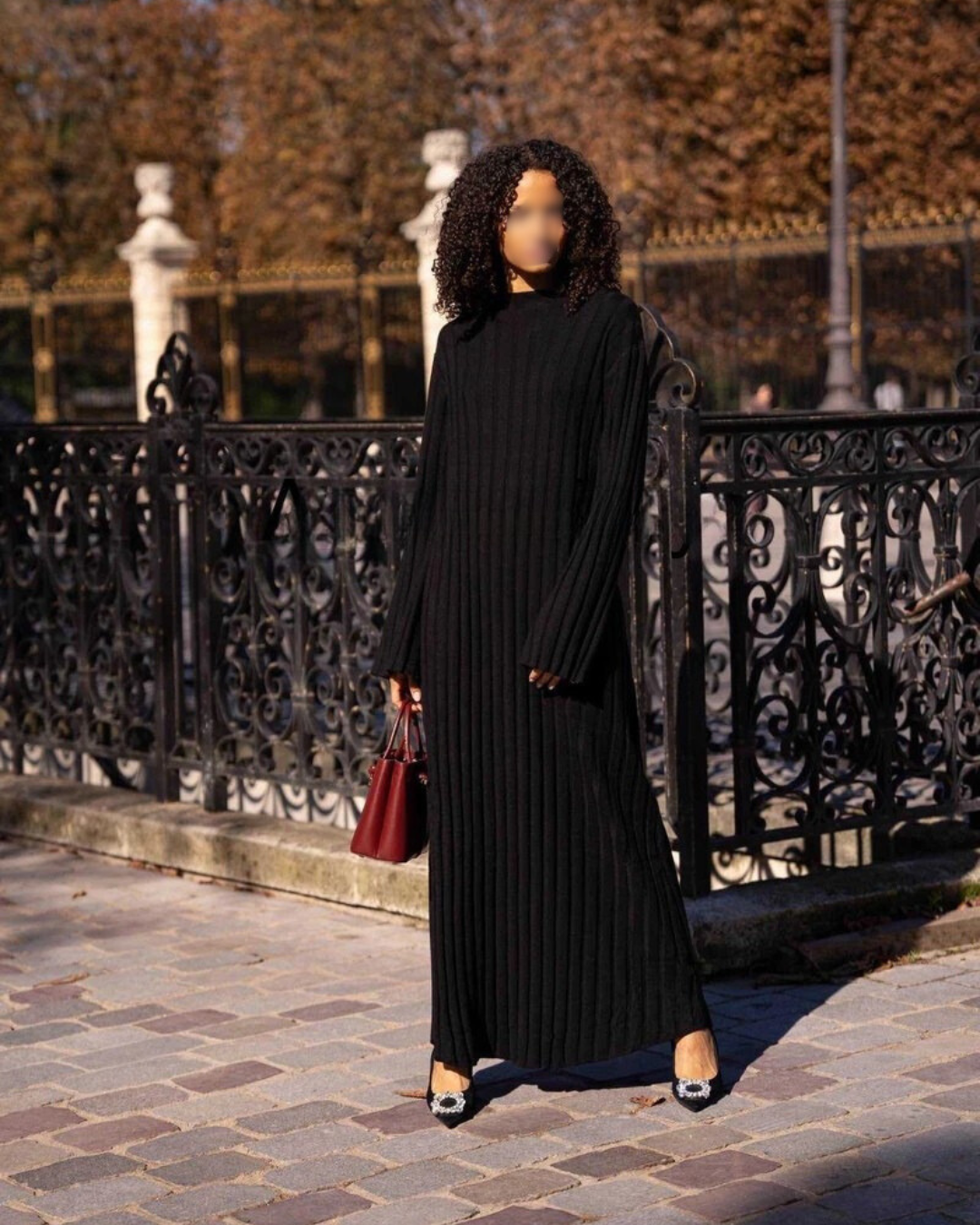Ayana Pleated Abaya